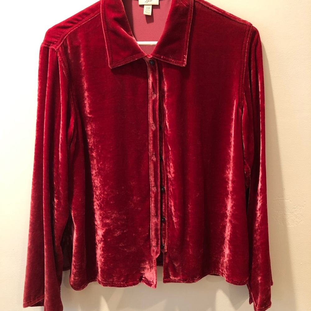 Gorgeous Velvet Blouse